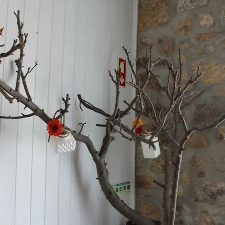 Cardenha Appartamento *